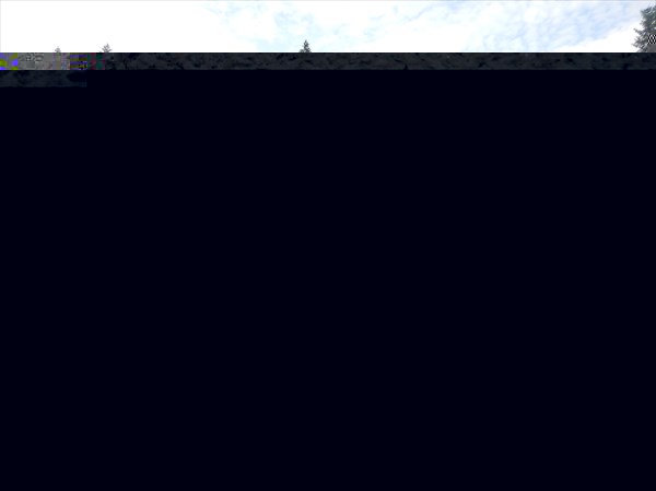 DSCN4363