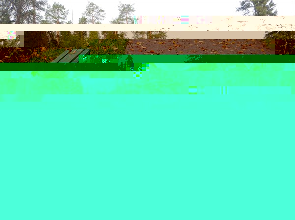 DSCN4489