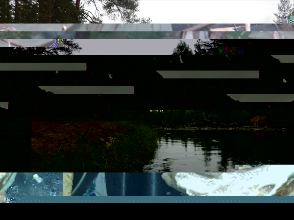 DSCN4765