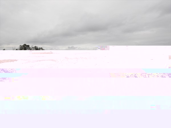 DSCN4778