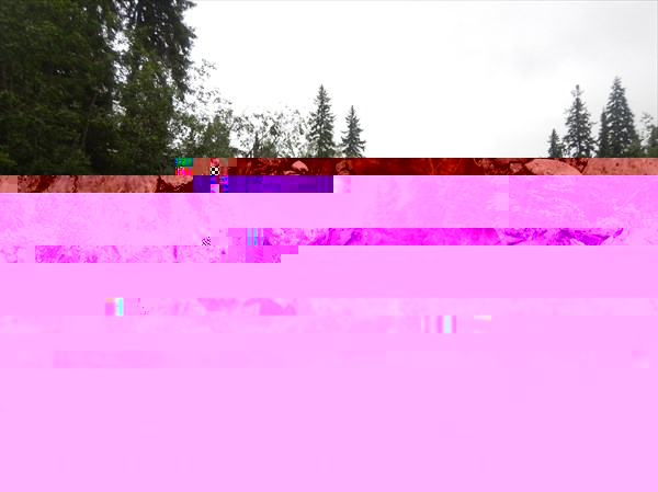 DSCN4856