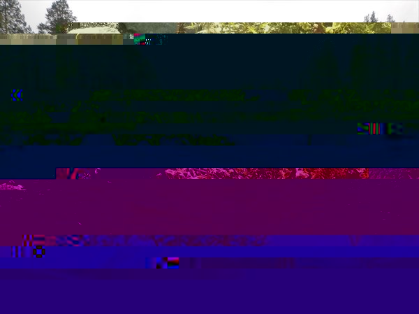 DSCN4875