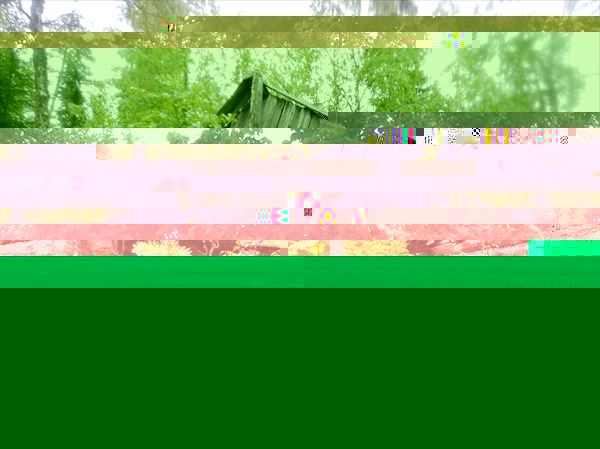 DSCN4952
