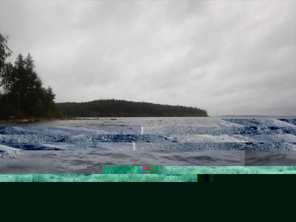 DSCN5328