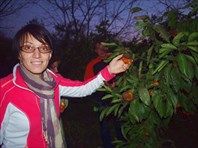 Офигевшие сибиряки в мандариновом саду Гарика