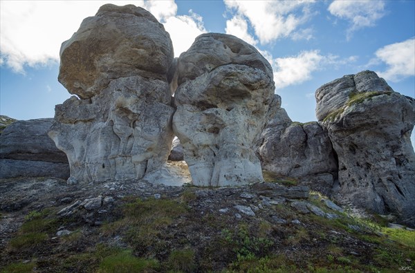 Влюбленная парочка