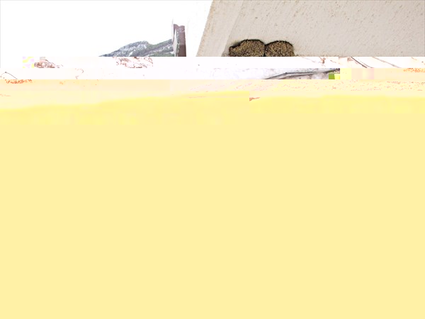 002-Бар