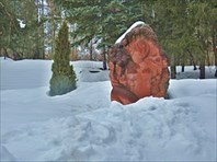 IMG_5537