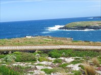 Cape du Couedic